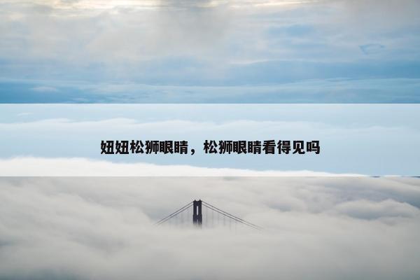 妞妞松狮眼睛，松狮眼睛看得见吗