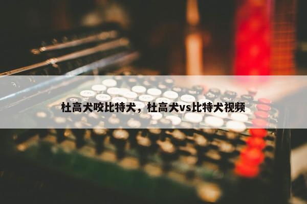杜高犬咬比特犬，杜高犬vs比特犬视频
