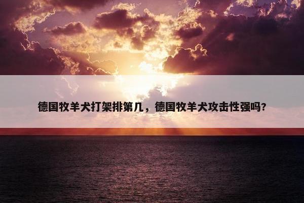德国牧羊犬打架排第几，德国牧羊犬攻击性强吗?