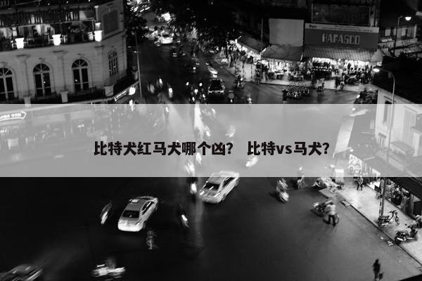 比特犬红马犬哪个凶？ 比特vs马犬？