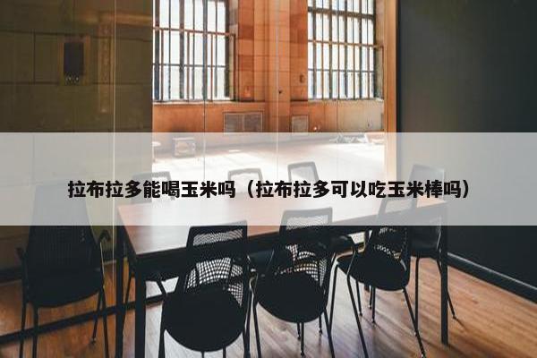 拉布拉多能喝玉米吗（拉布拉多可以吃玉米棒吗）