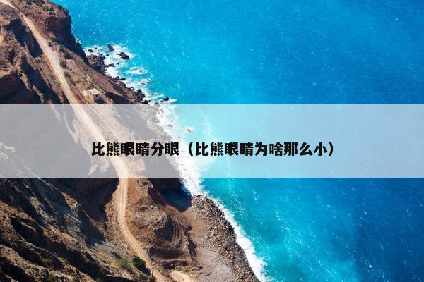 比熊眼睛分眼（比熊眼睛为啥那么小）