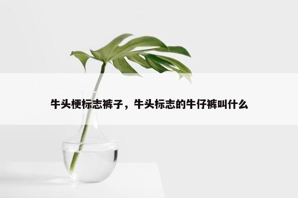 牛头梗标志裤子，牛头标志的牛仔裤叫什么