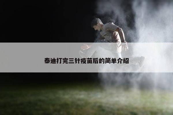 泰迪打完三针疫苗后的简单介绍