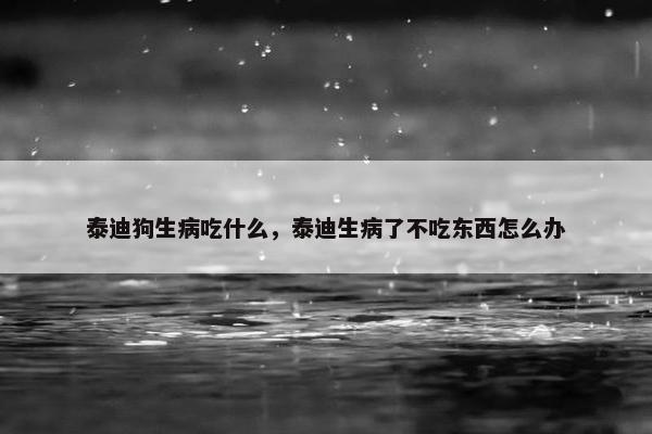 泰迪狗生病吃什么，泰迪生病了不吃东西怎么办
