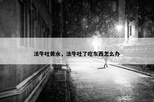法牛吐黄水，法牛吐了吃东西怎么办