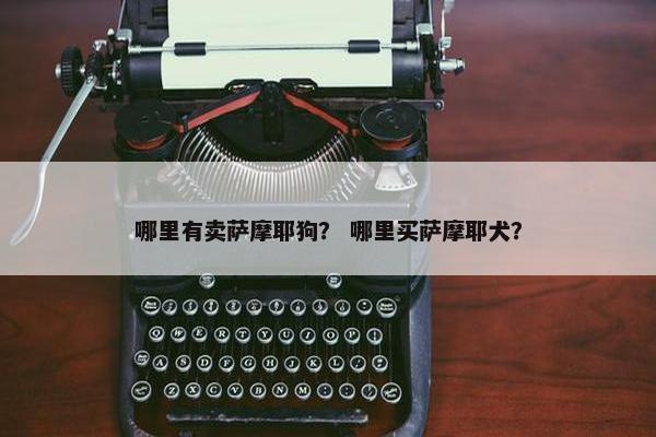 哪里有卖萨摩耶狗？ 哪里买萨摩耶犬？