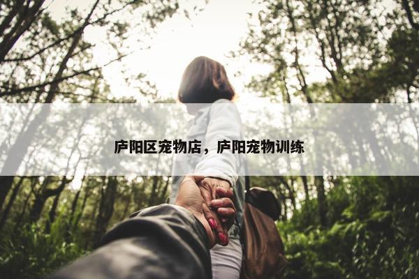 庐阳区宠物店,庐阳宠物训练