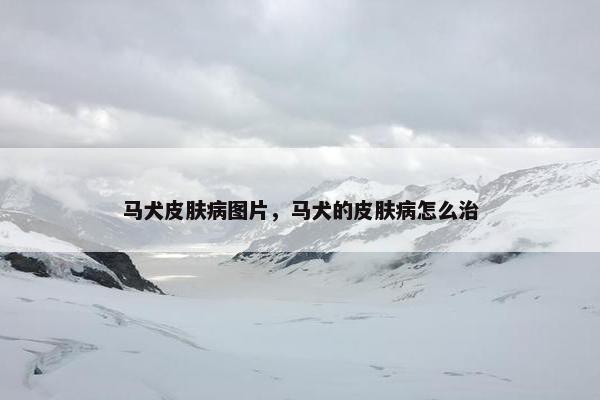 马犬皮肤病图片，马犬的皮肤病怎么治
