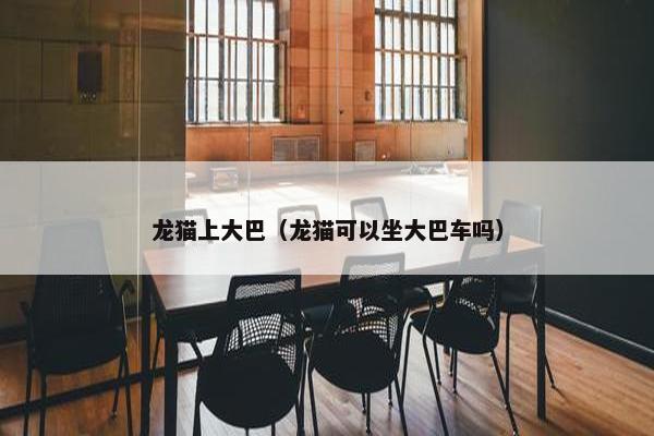 龙猫上大巴（龙猫可以坐大巴车吗）