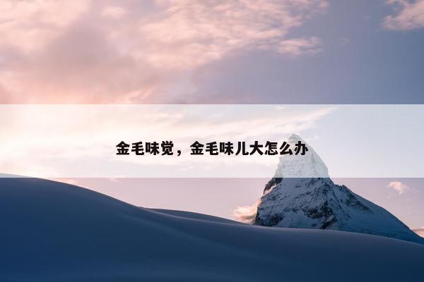味觉