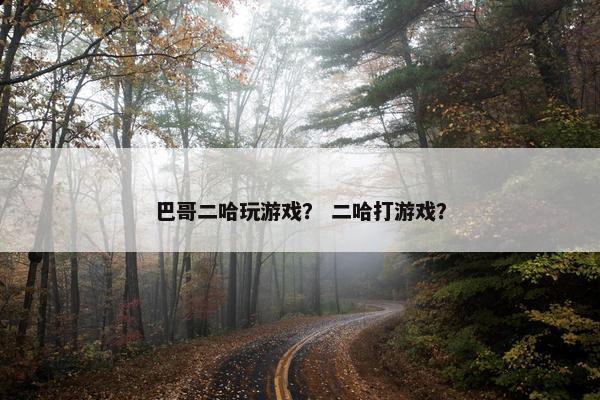 巴哥二哈玩游戏？ 二哈打游戏？