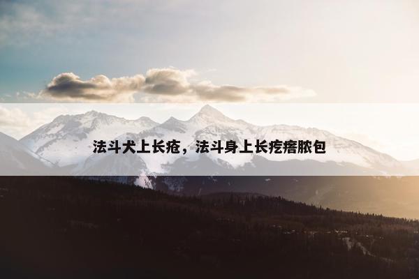 法斗犬上长疮，法斗身上长疙瘩脓包