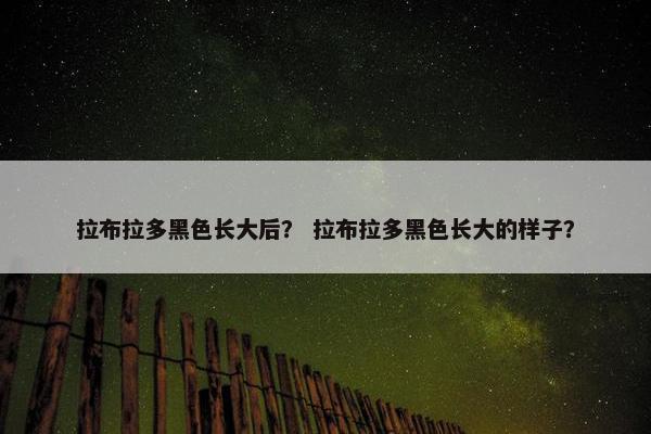 拉布拉多黑色长大后？ 拉布拉多黑色长大的样子？