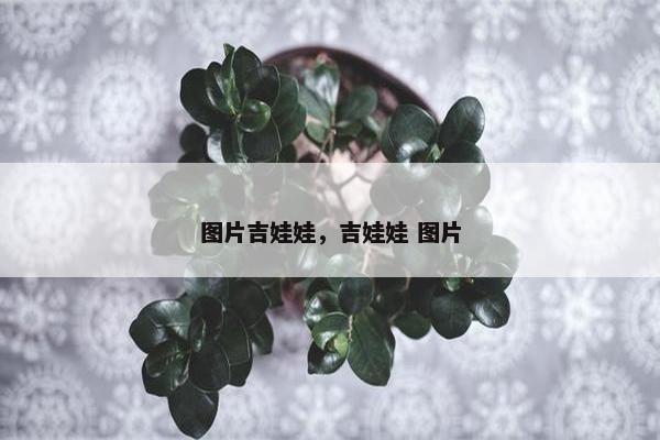 图片吉娃娃，吉娃娃 图片