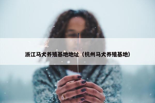 浙江马犬养殖基地地址（杭州马犬养殖基地）