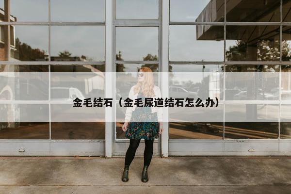 金毛结石（金毛尿道结石怎么办）