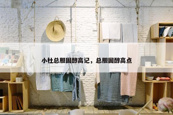 小杜总胆固醇高记，总胆固醇高点