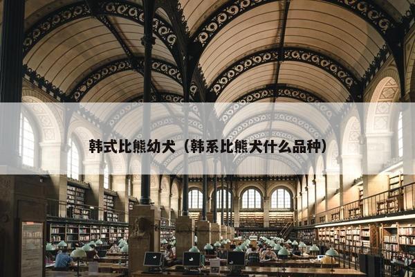 韩式比熊幼犬（韩系比熊犬什么品种）