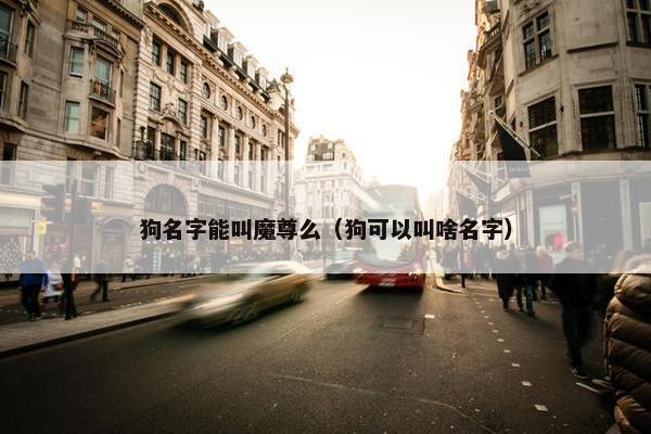 狗名字能叫魔尊么（狗可以叫啥名字）