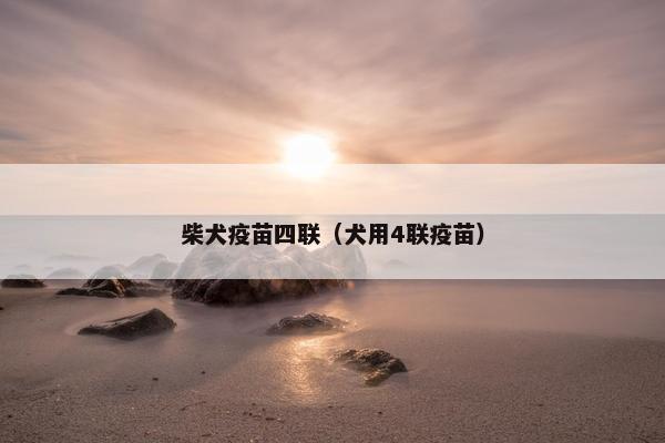 柴犬疫苗四联（犬用4联疫苗）