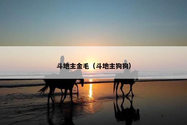 萨斯