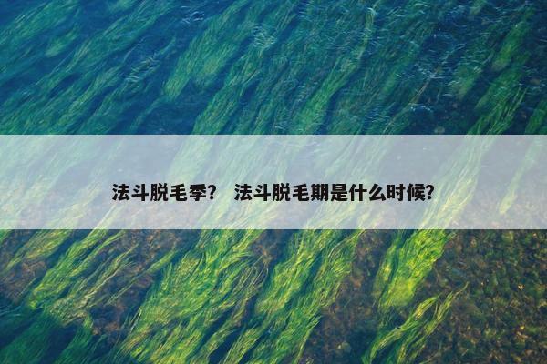 法斗脱毛季？ 法斗脱毛期是什么时候？