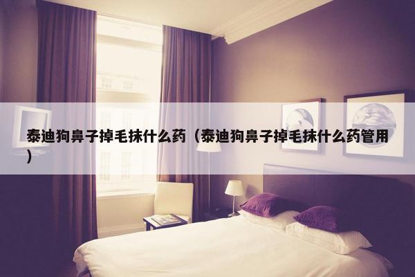 泰迪狗鼻子掉毛抹什么药（泰迪狗鼻子掉毛抹什么药管用）