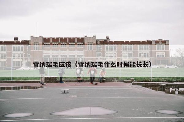 雪纳瑞毛应该（雪纳瑞毛什么时候能长长）