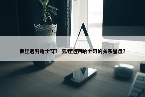 狐狸遇到哈士奇？ 狐狸遇到哈士奇的关系星盘？