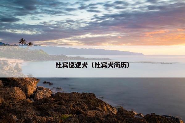 杜宾巡逻犬（杜宾犬简历）