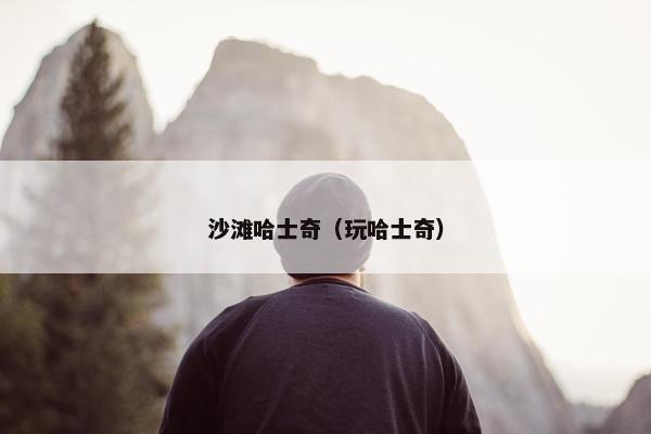 沙滩哈士奇（玩哈士奇）
