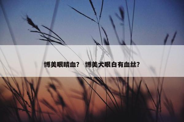 博美眼睛血？ 博美犬眼白有血丝？