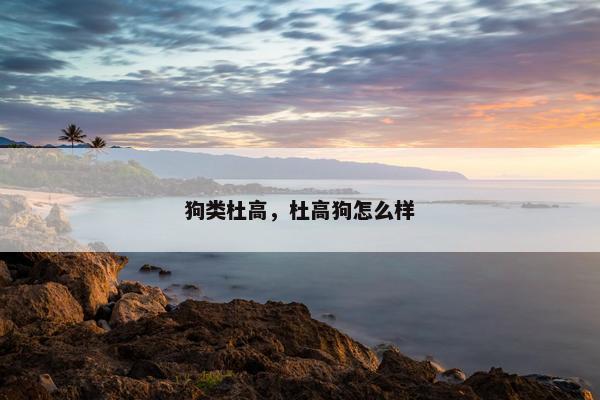 攻击性 第9页
