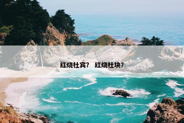 红烧杜宾？ 红烧杜块？