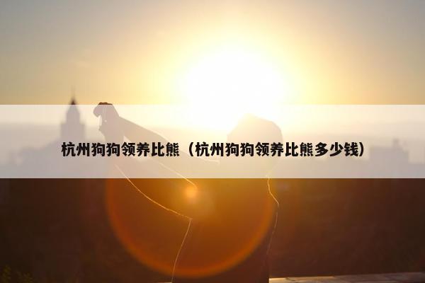 杭州狗狗领养比熊（杭州狗狗领养比熊多少钱）