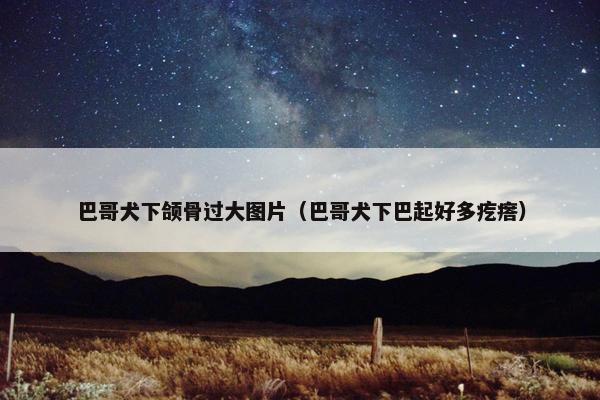 巴哥犬下颌骨过大图片（巴哥犬下巴起好多疙瘩）