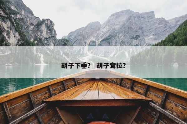 胡子下垂？ 胡子耷拉？