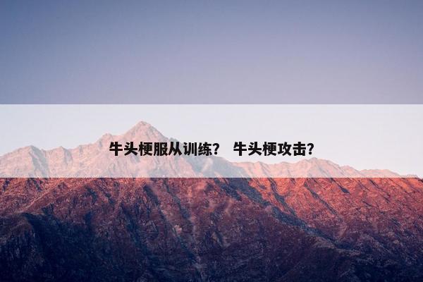 牛头梗服从训练？ 牛头梗攻击？
