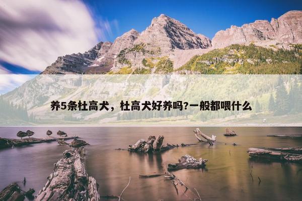 养5条杜高犬，杜高犬好养吗?一般都喂什么