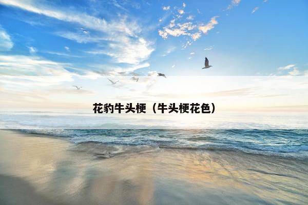 花豹牛头梗（牛头梗花色）