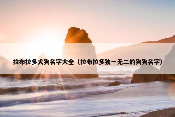 拉布拉多犬狗名字大全（拉布拉多独一无二的狗狗名字）