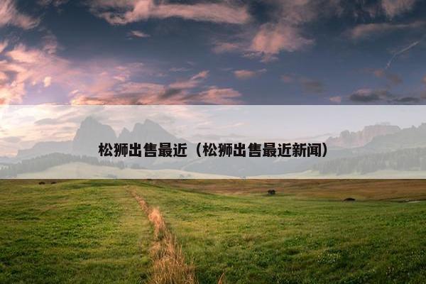 松狮出售最近（松狮出售最近新闻）