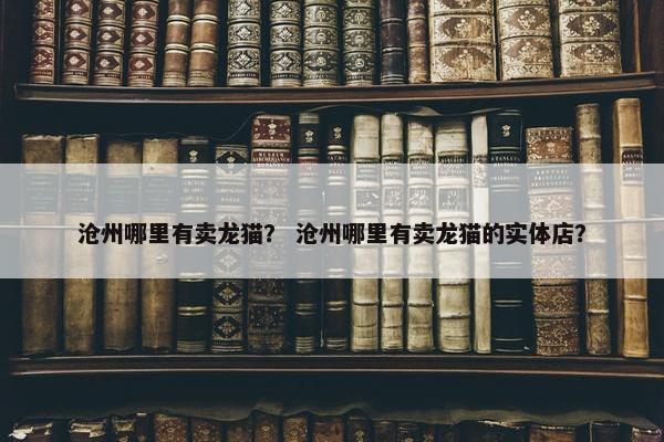 沧州哪里有卖龙猫？ 沧州哪里有卖龙猫的实体店？