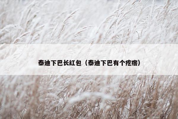 泰迪下巴长红包（泰迪下巴有个疙瘩）