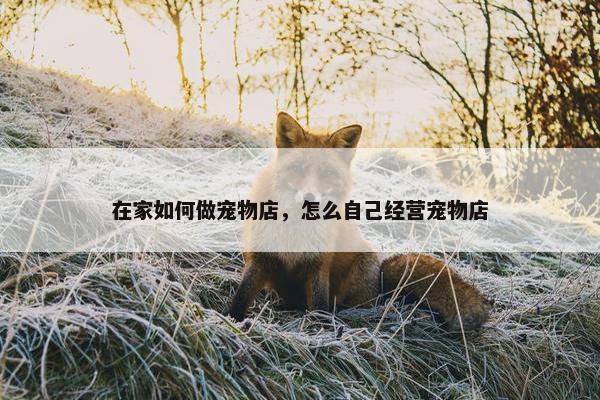 在家如何做宠物店，怎么自己经营宠物店