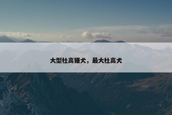 大型杜高猎犬,最大杜高犬