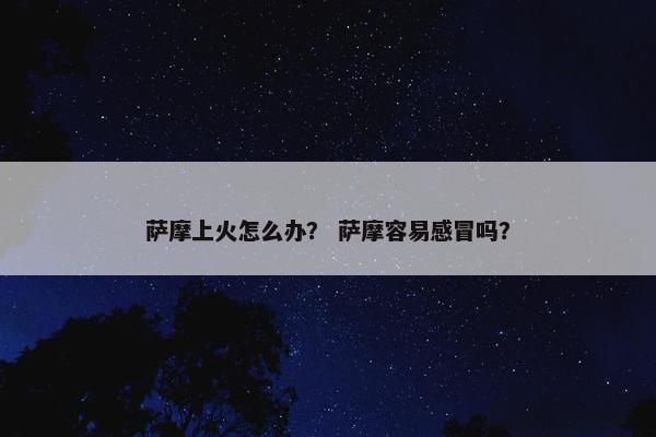 眼睛 第17页