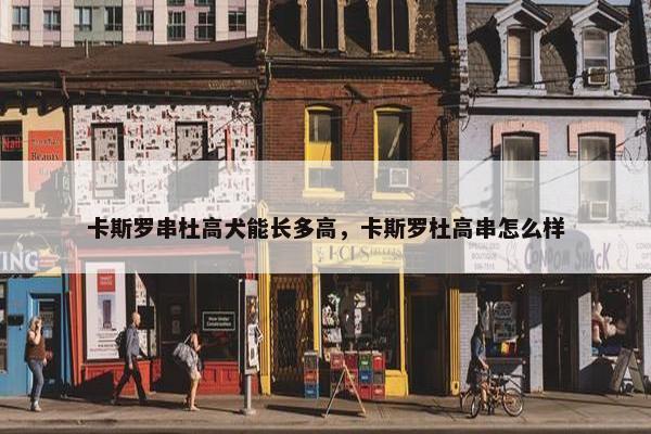 卡斯罗串杜高犬能长多高，卡斯罗杜高串怎么样