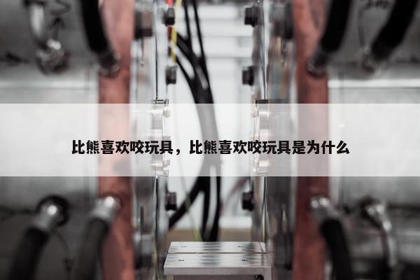 比熊喜欢咬玩具，比熊喜欢咬玩具是为什么